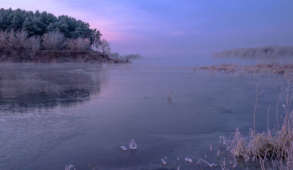 Photo 2678909