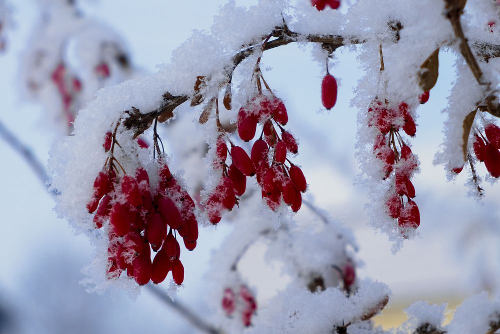 Photo 2678911