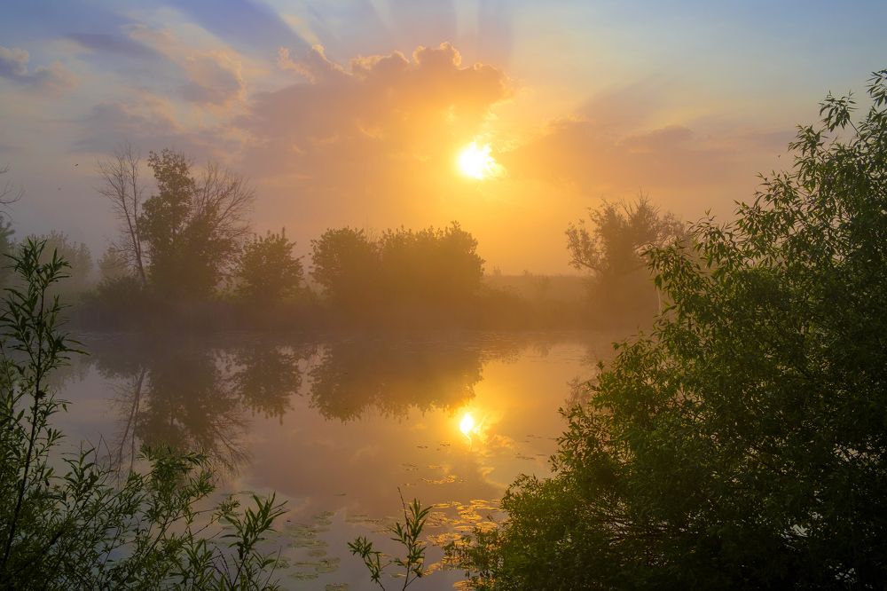 Photo 2678914