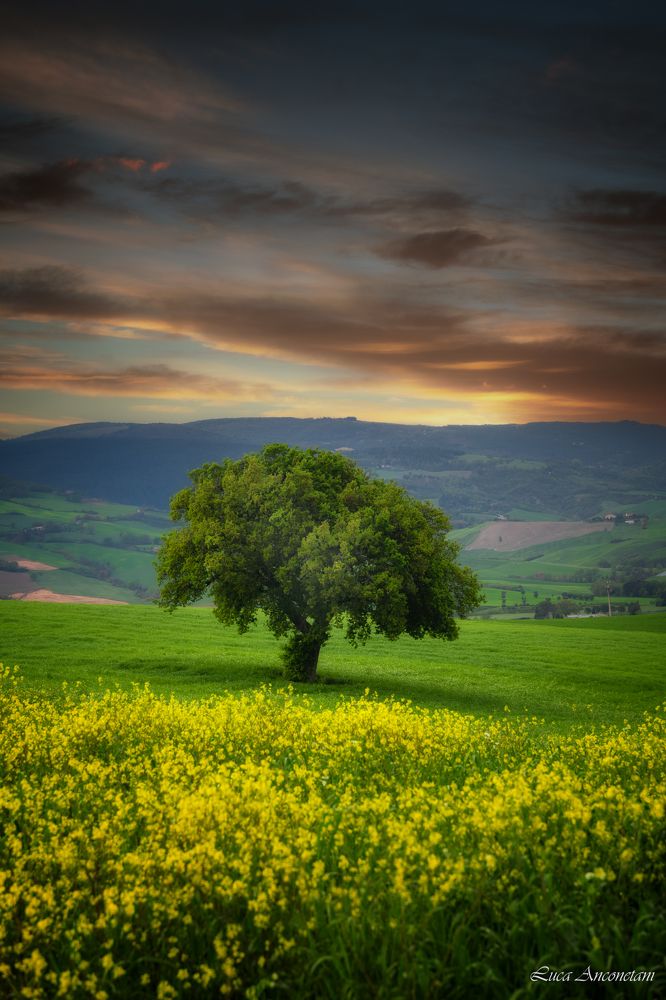 Sunrise at Sibillini nat park