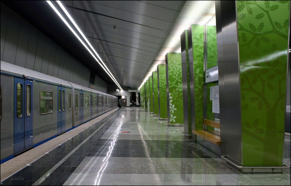 станция метро Раменки Москва