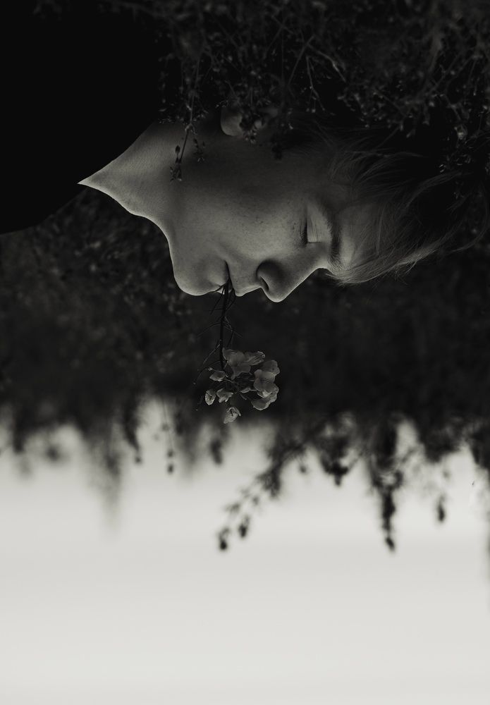 The sound of silence