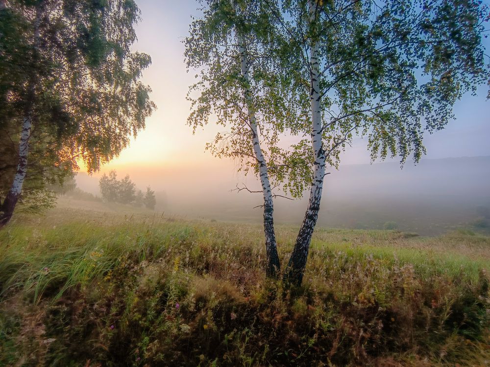 Photo 2682105