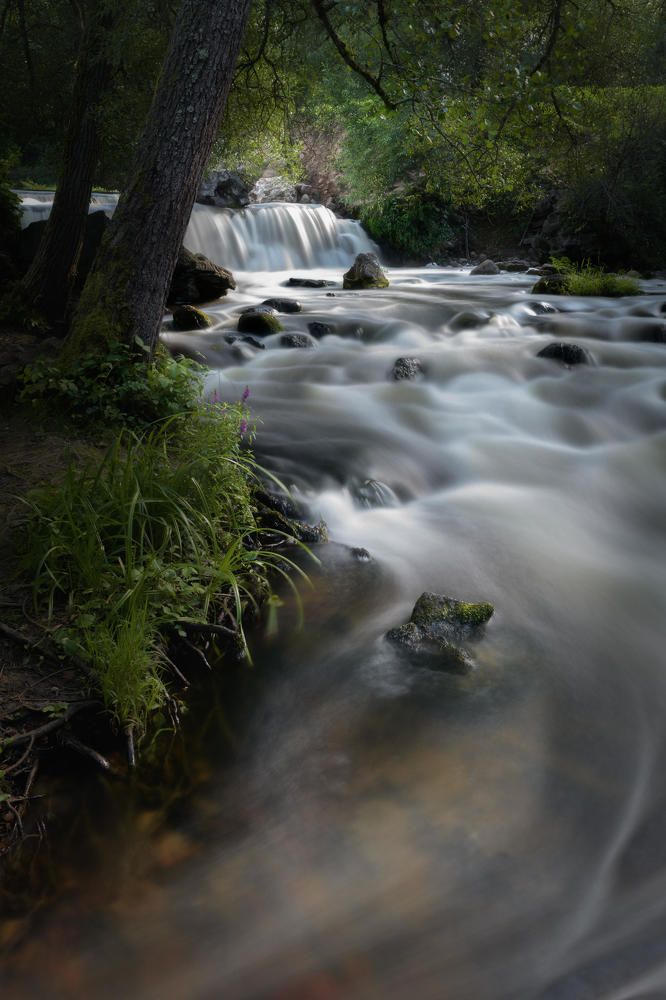 Photo 2682420