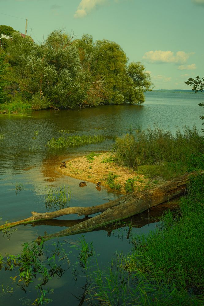 Волга