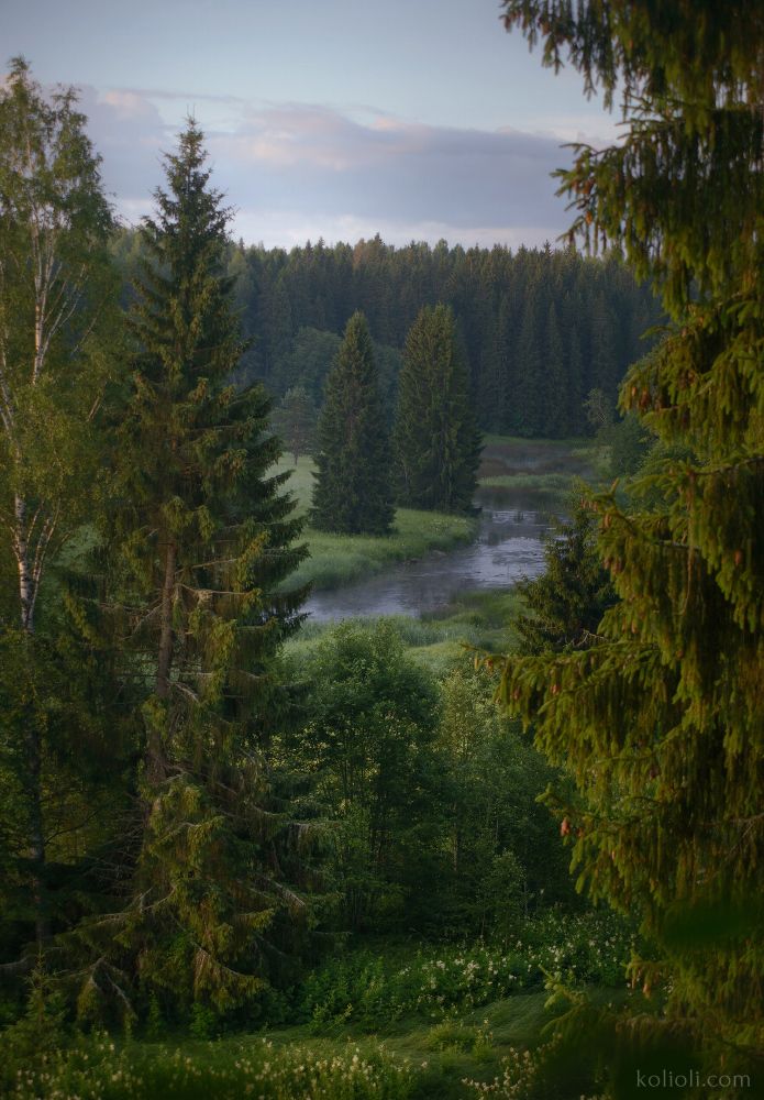 Утро на реке Лемовжа