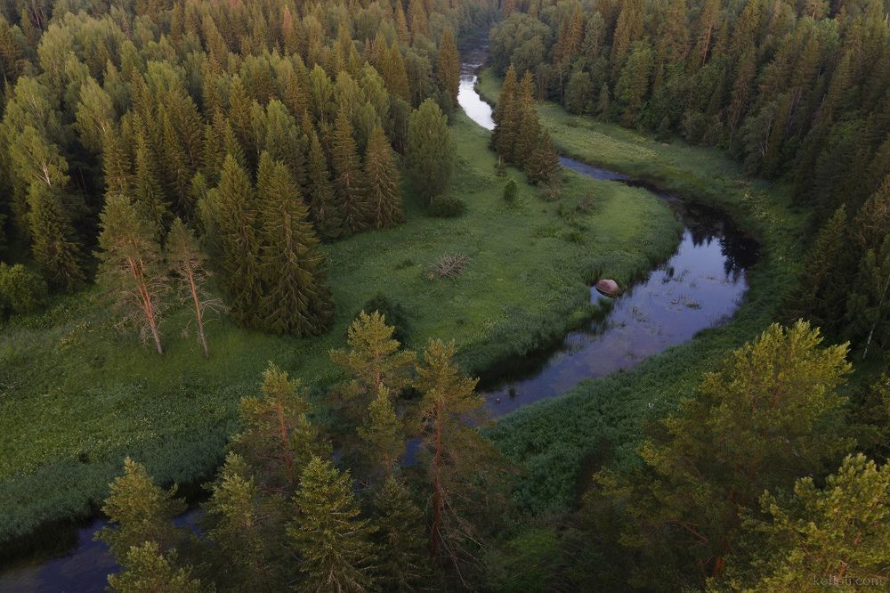 Утро на реке Лемовжа
