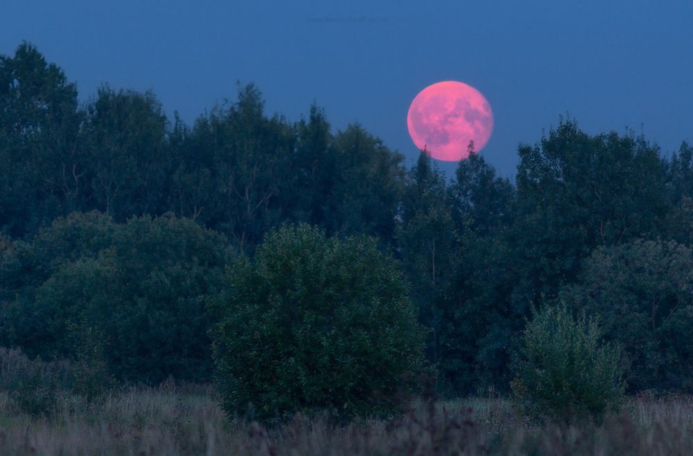 Восход Осетровой луны