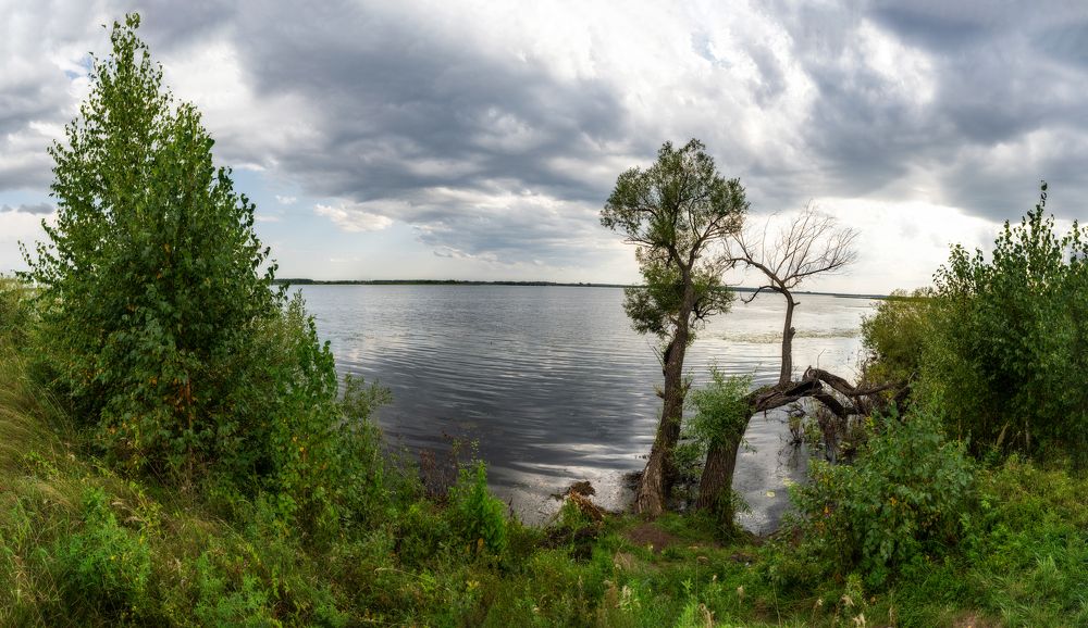 Photo 2684753