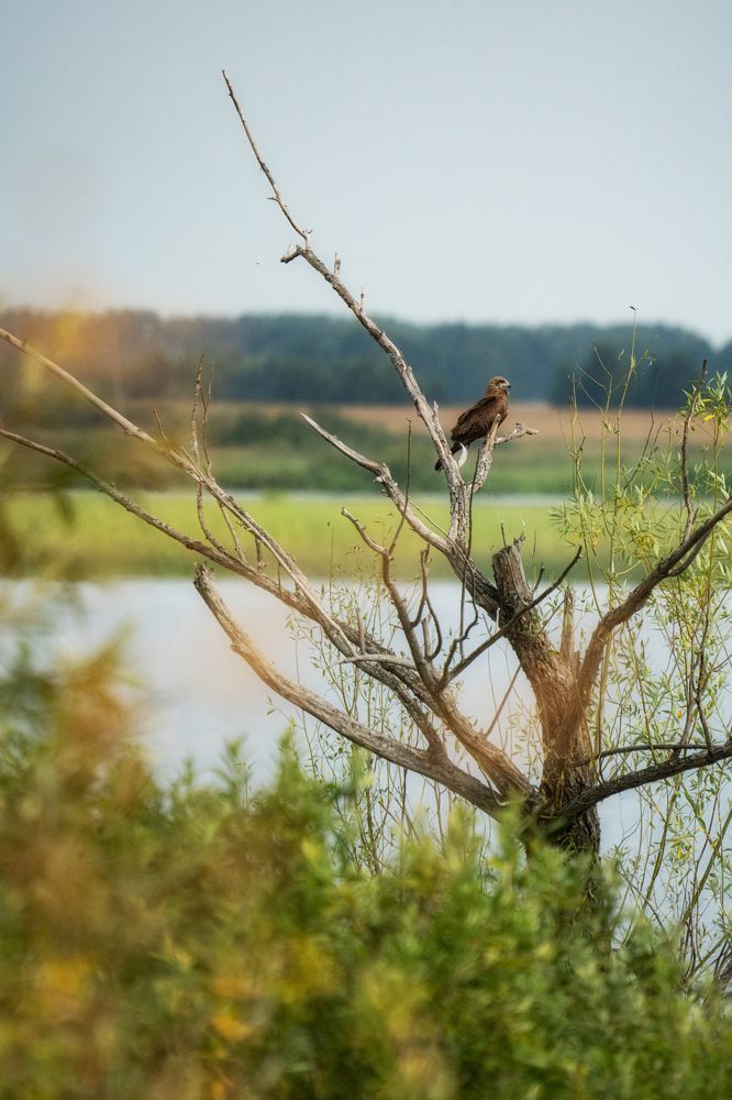 Photo 2684756