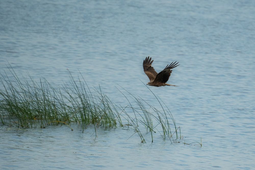 Photo 2684757
