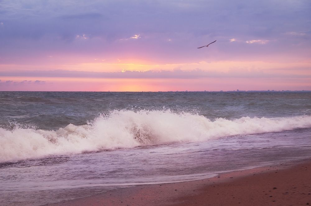 Море волнуется раз