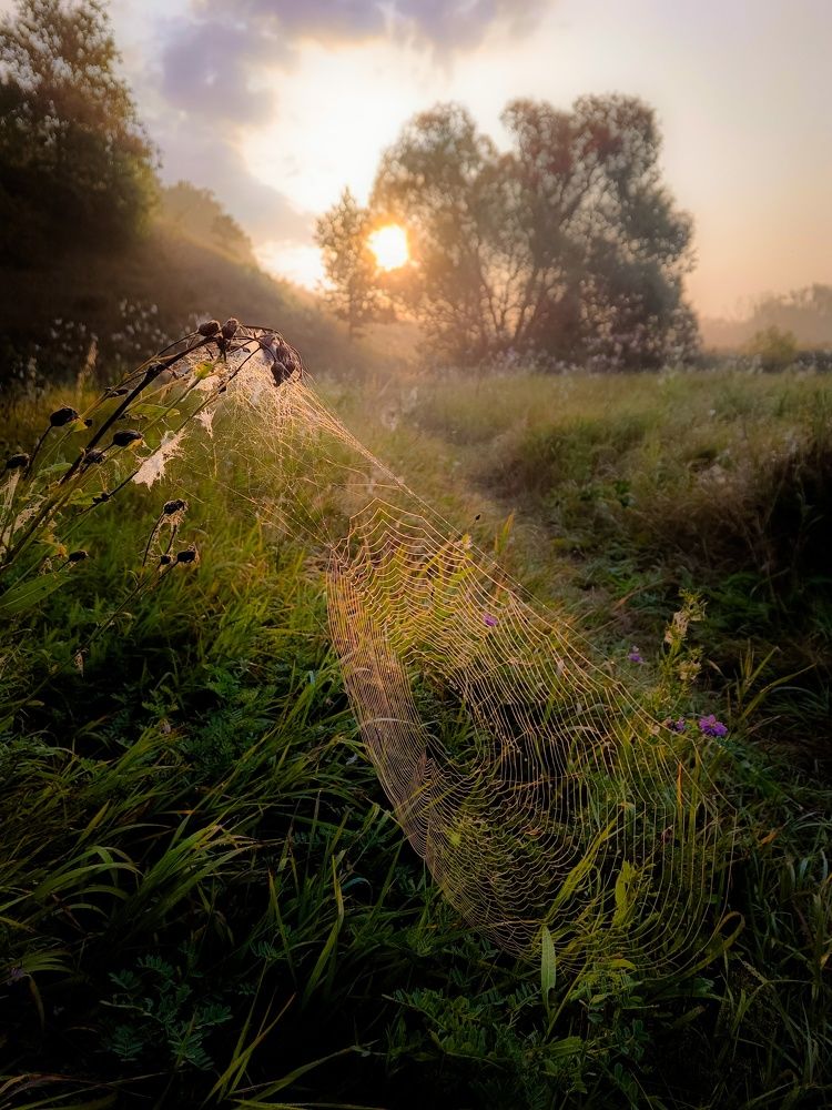 Photo 2685769