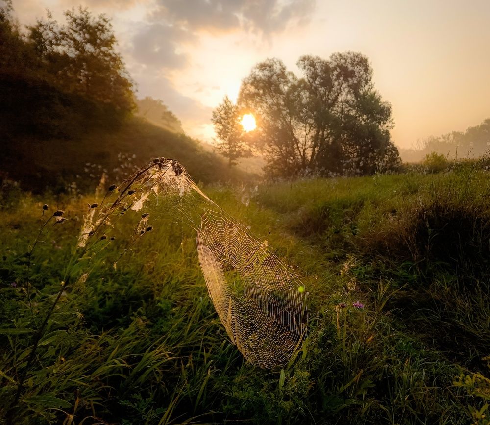 Photo 2685770