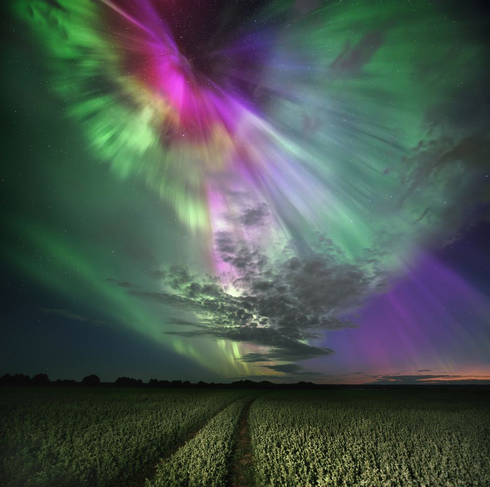 Aurora
