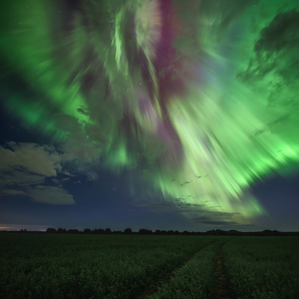 Aurora