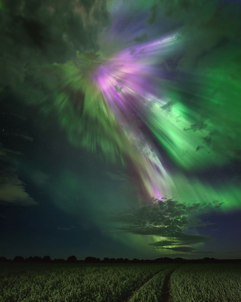 Aurora