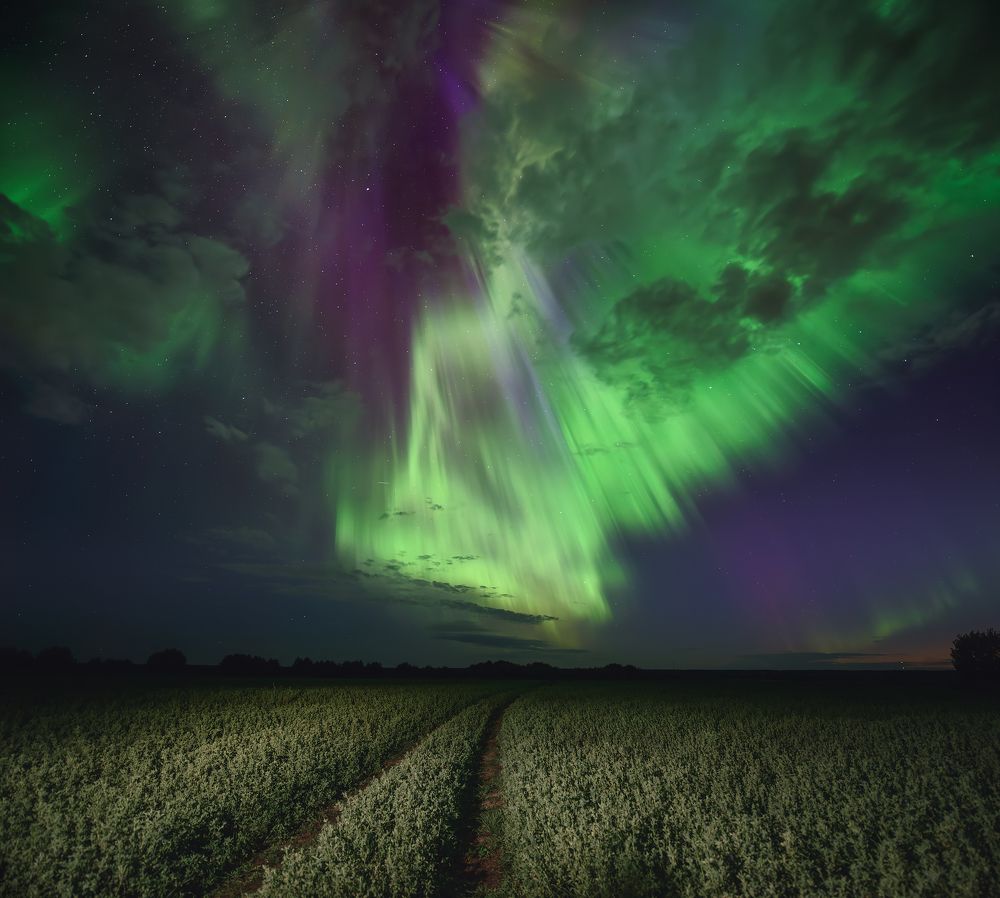 Aurora