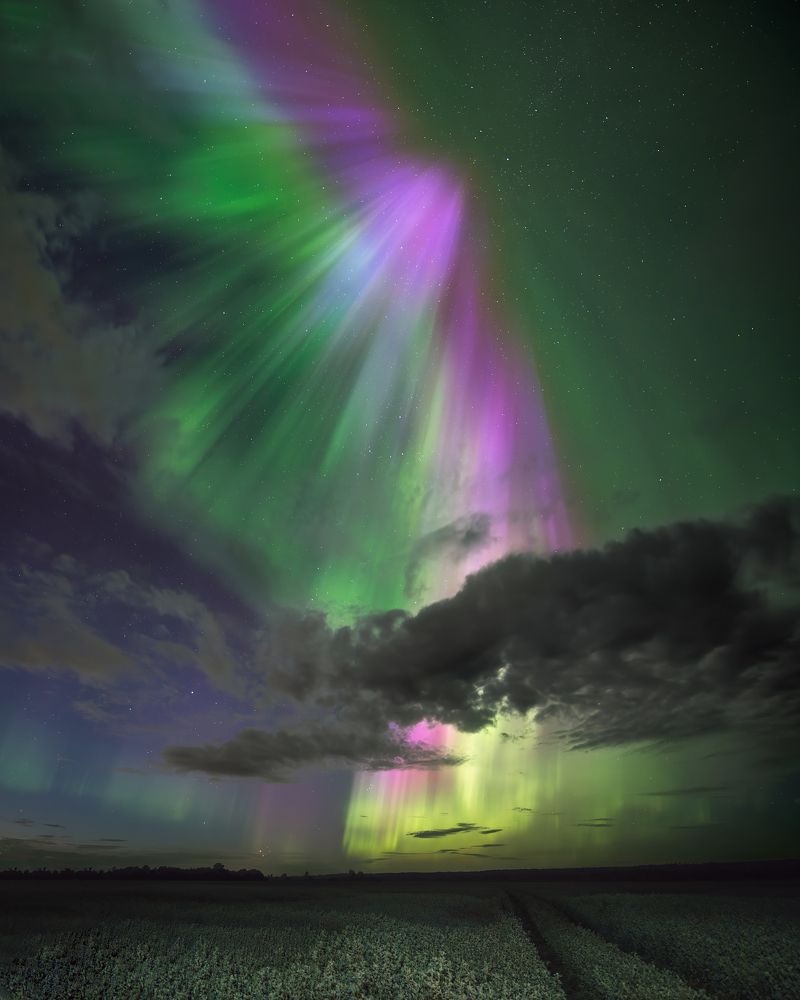 Aurora