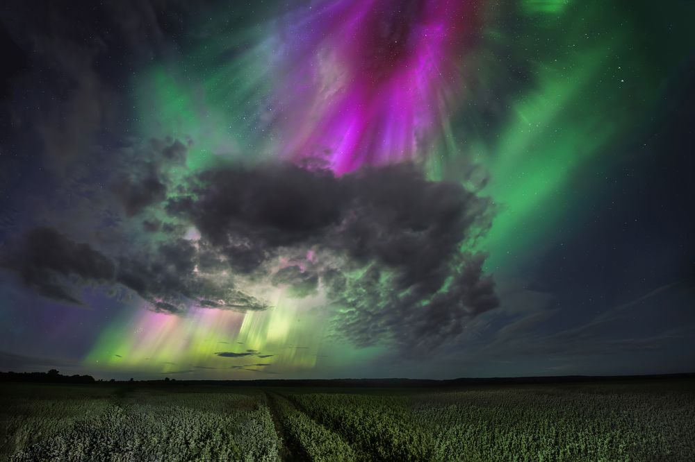 Aurora