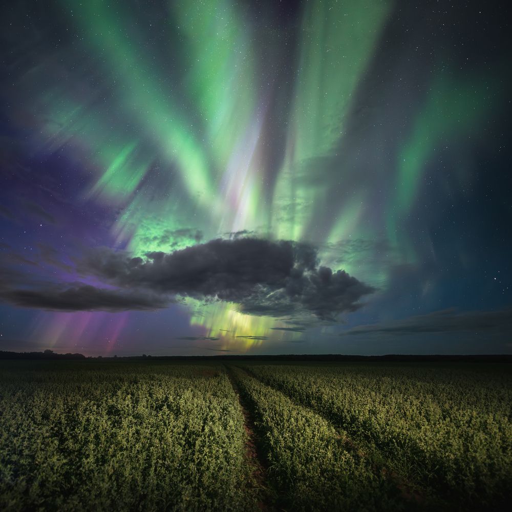 Aurora
