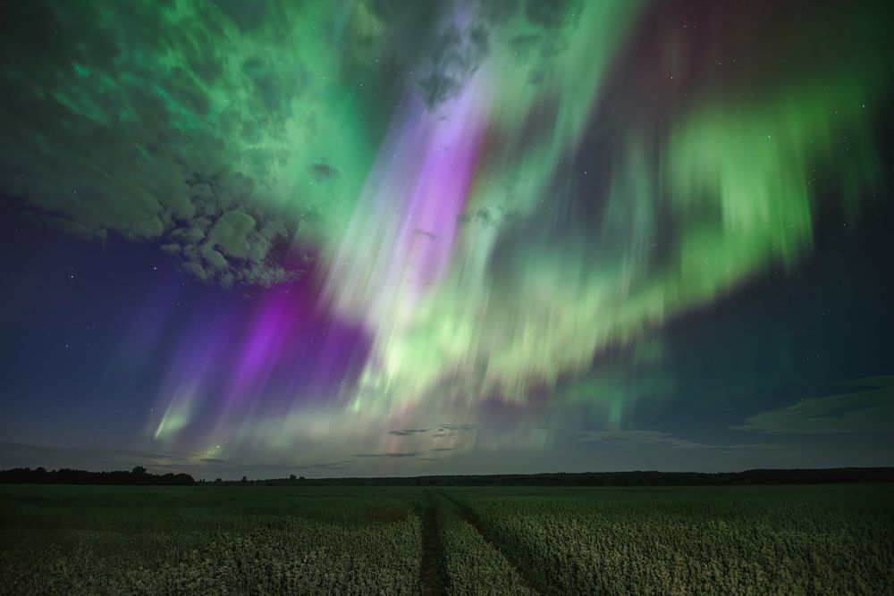 Aurora