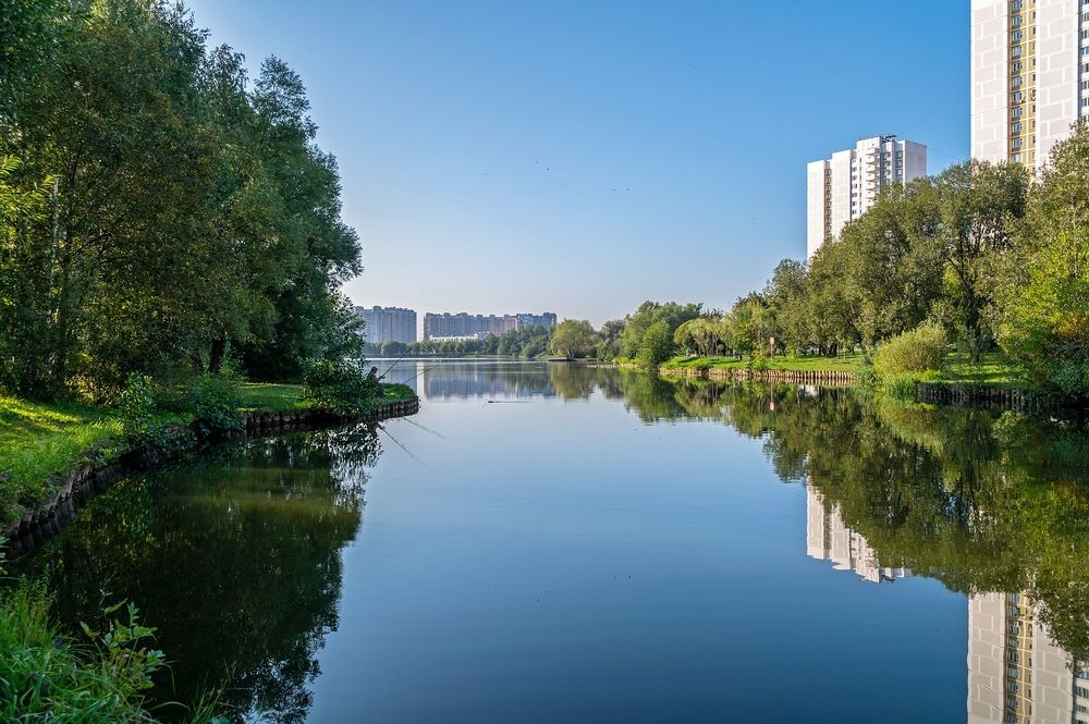 На городском пруду