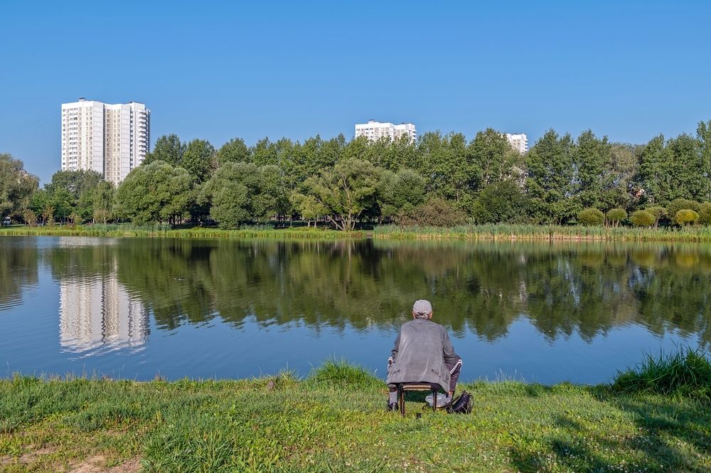 На городском пруду