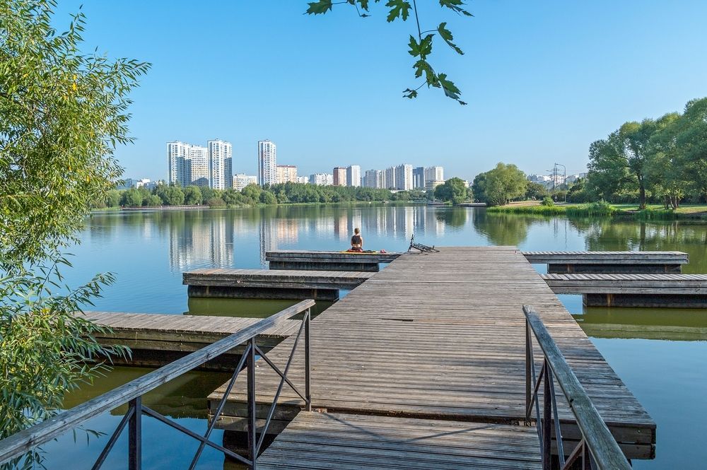 На городском пруду