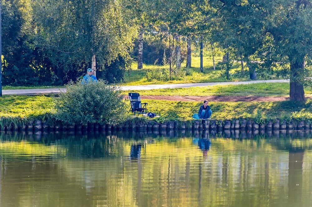 На городском пруду