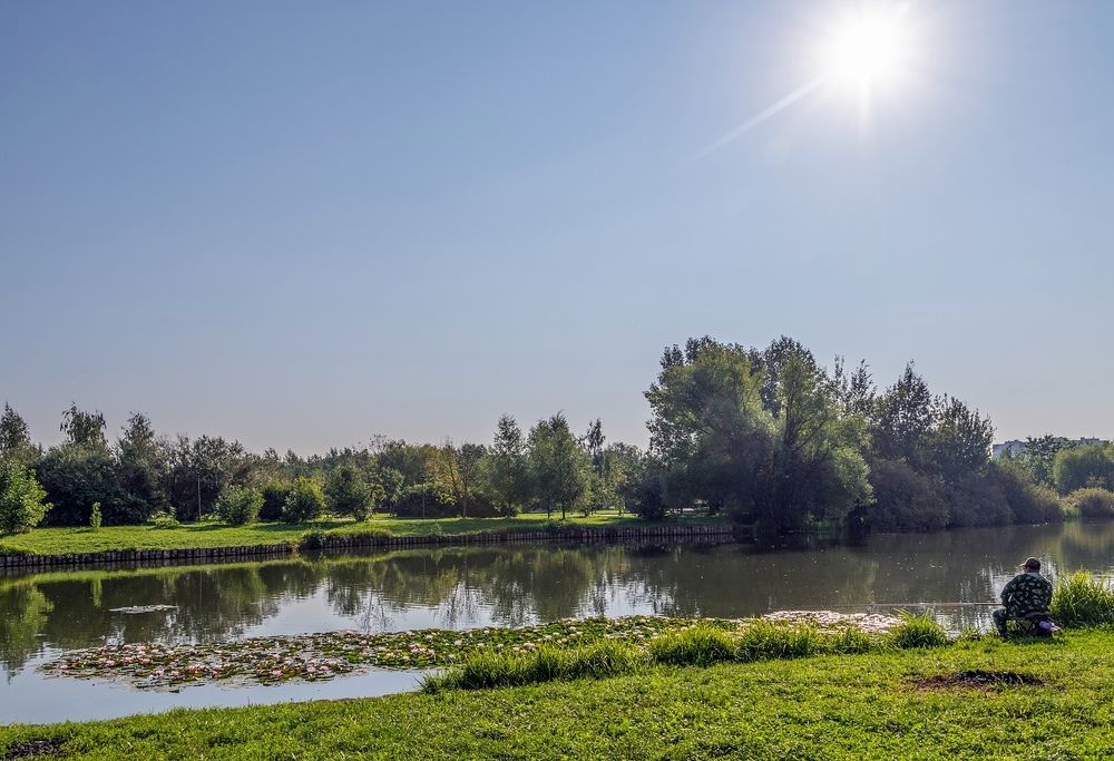 На городском пруду