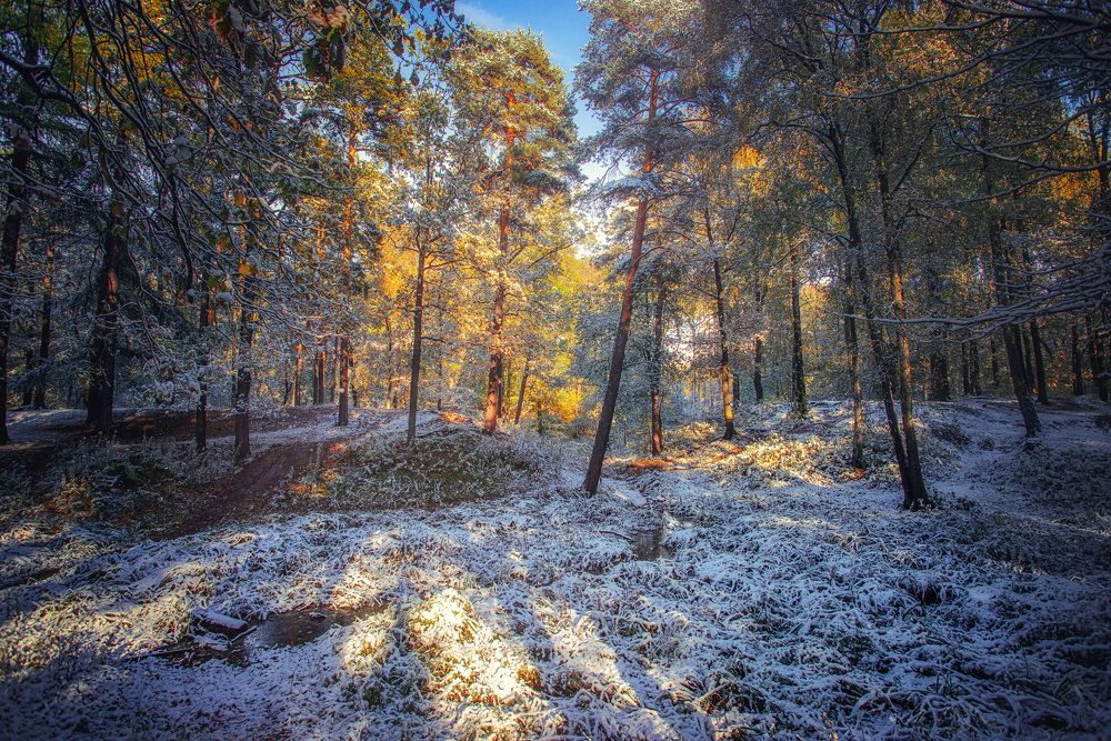 Ранний снег