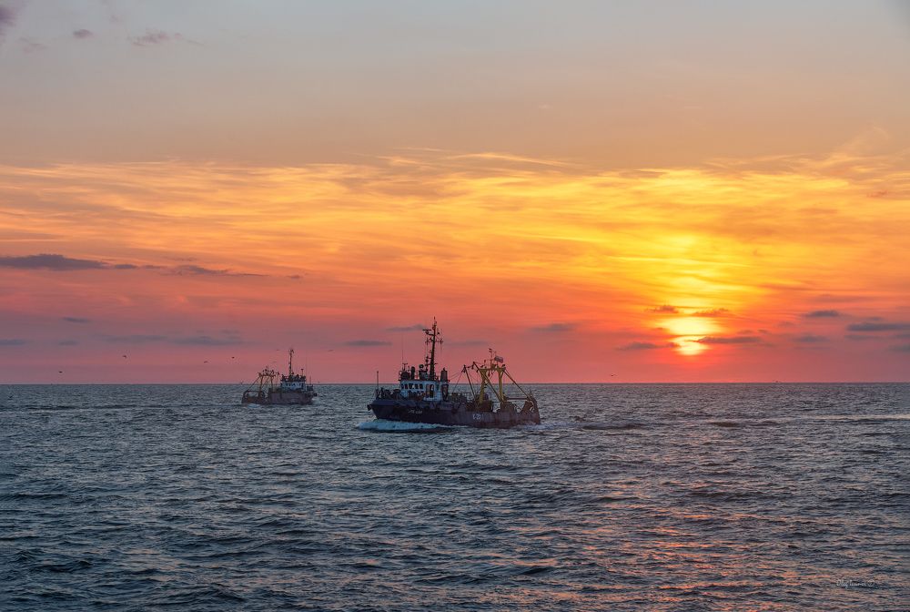 В море и с моря