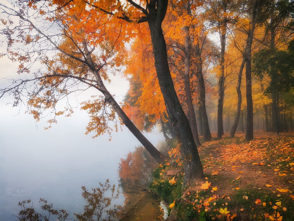 Осень