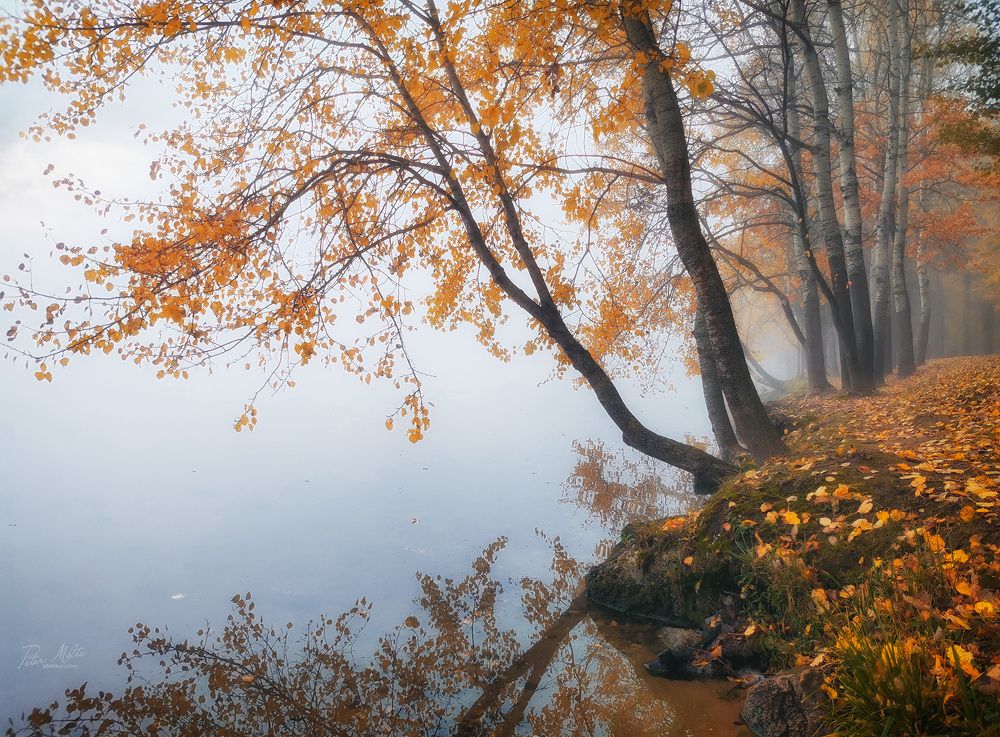 Осень