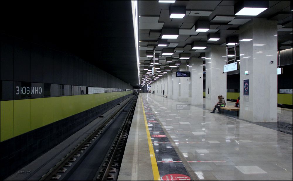 станция метро Зюзино Москва