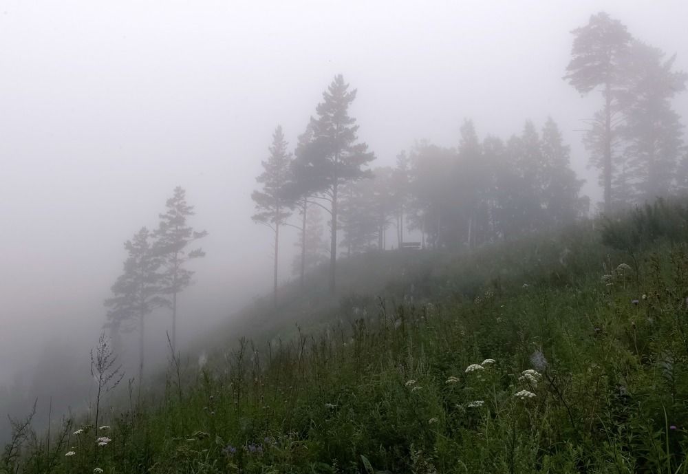 Прогулка по густому туману