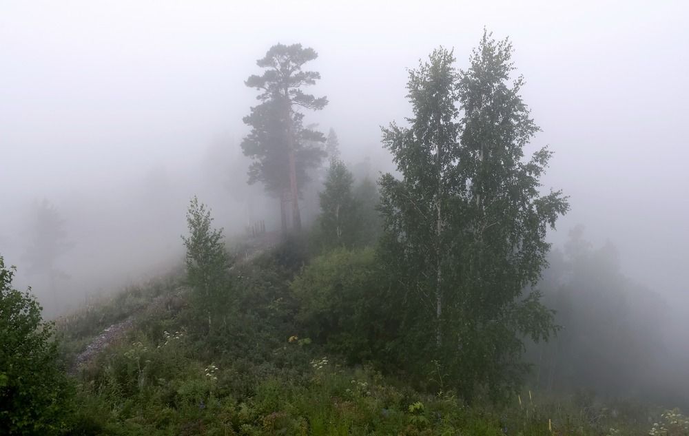 Прогулка по густому туману
