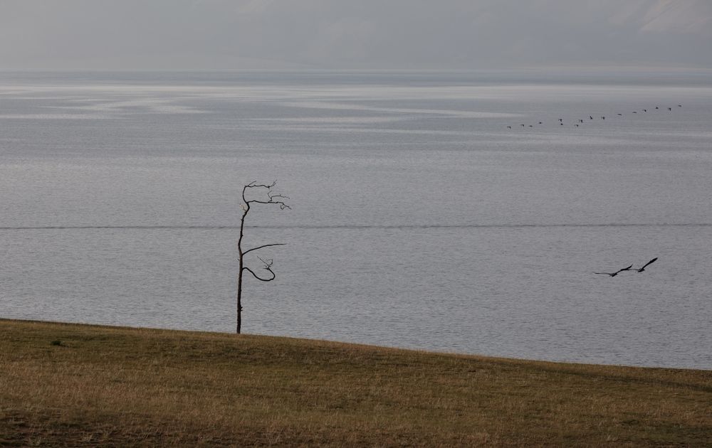 Photo 2689350