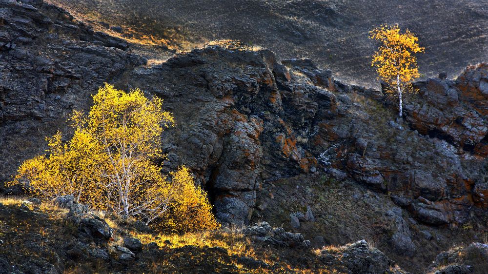 Утро в горах