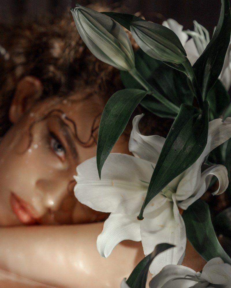 White Lily ?