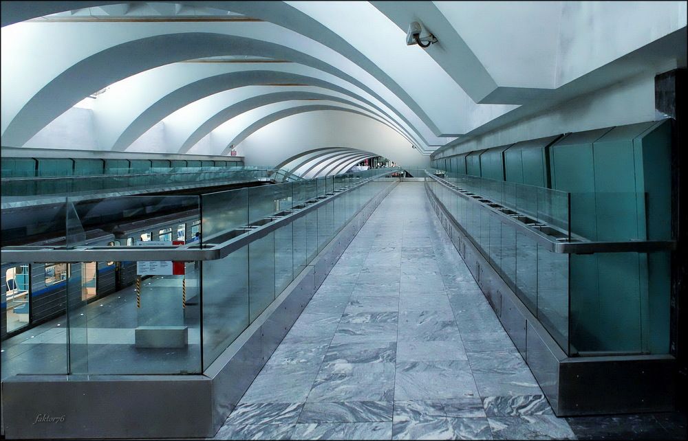 станция метро Зябликово Москва