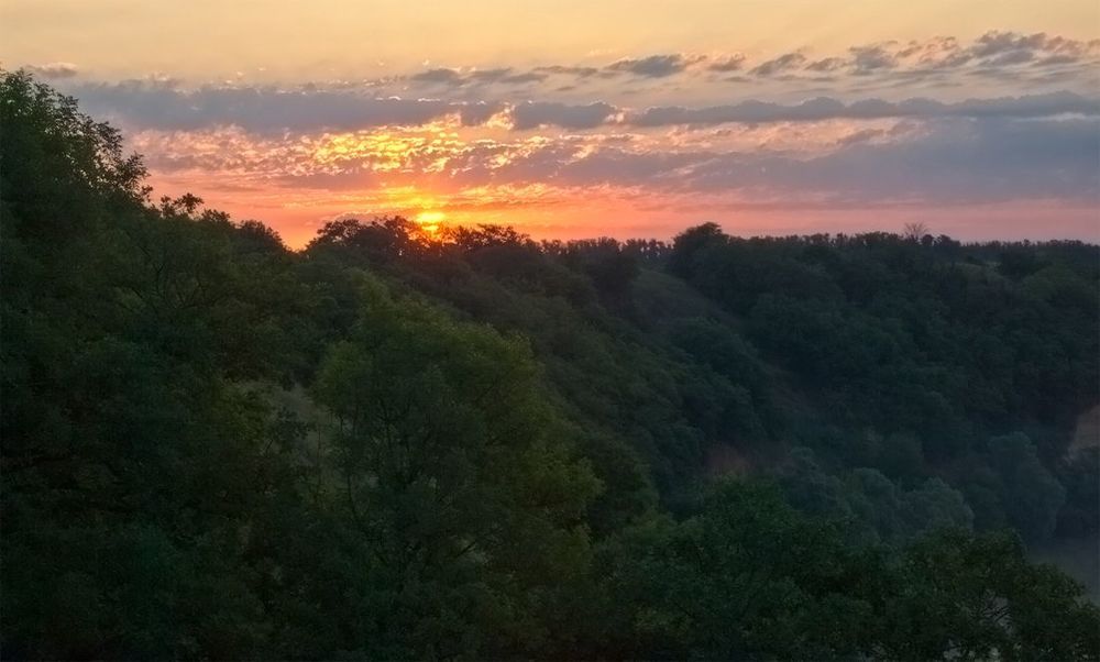 Утро нетуманное