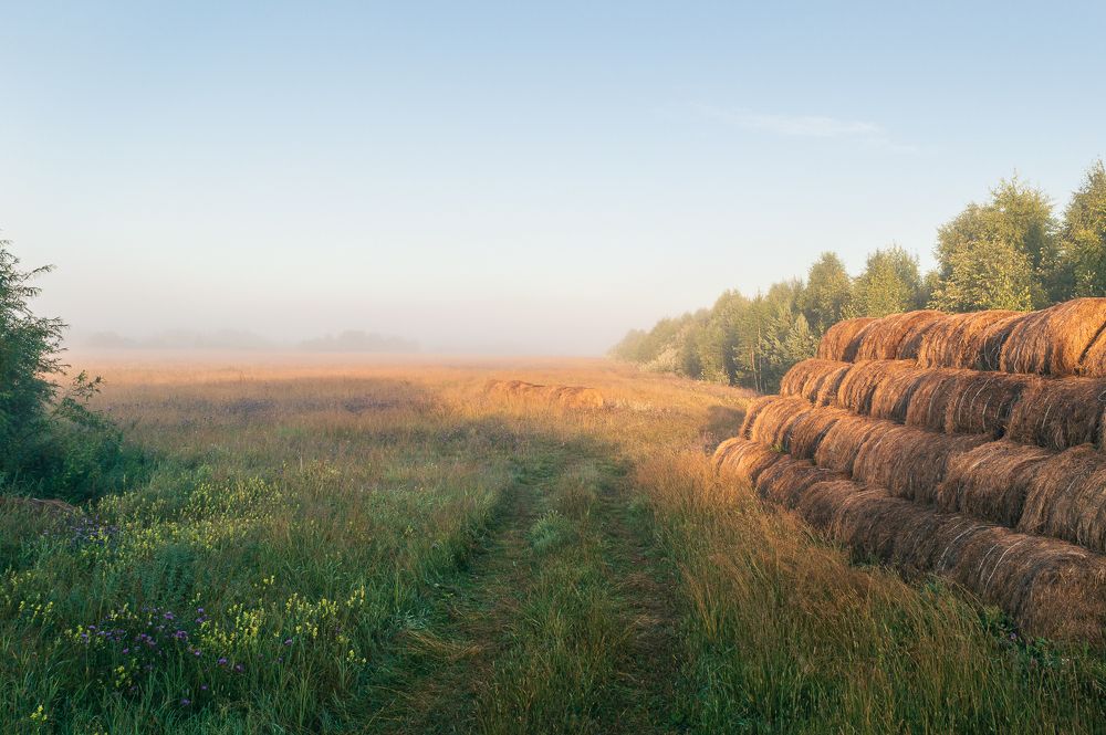 Рассвет