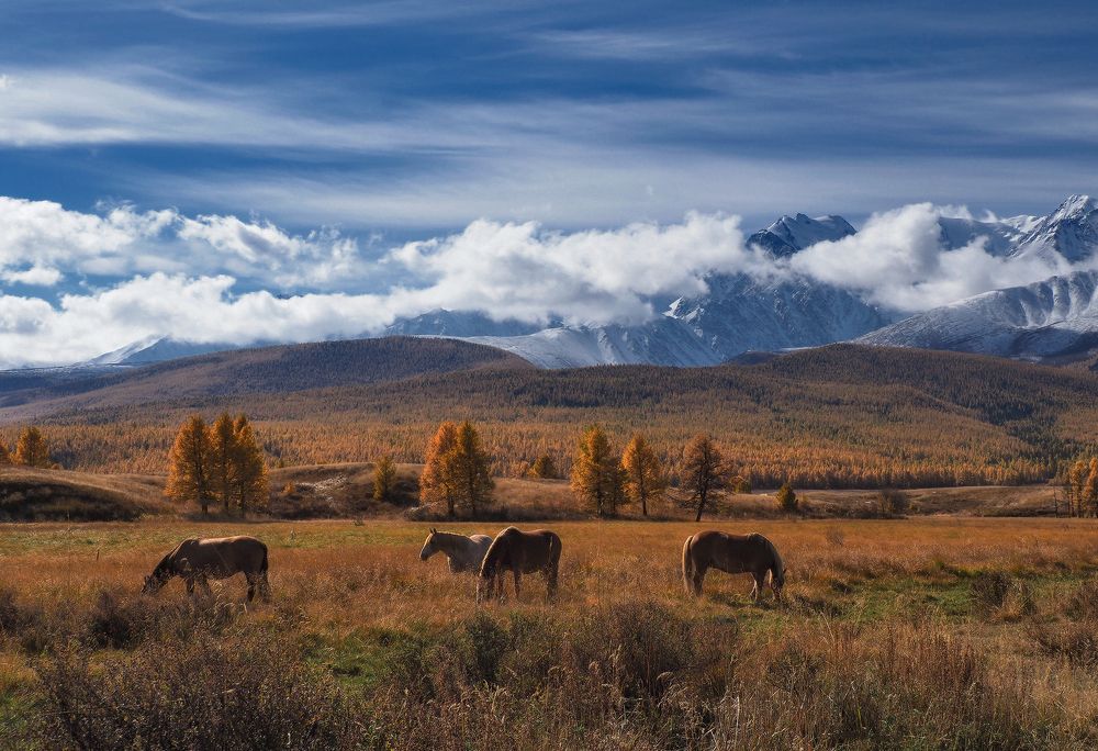 Осень в горах Алтая