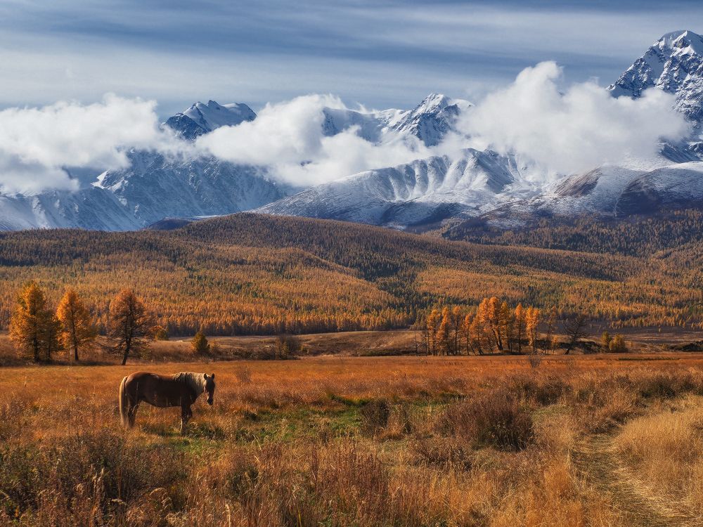 Осень в горах Алтая