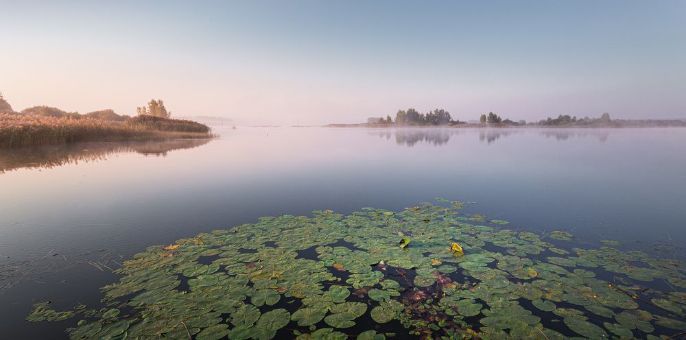 Утро в деревне Никольское...