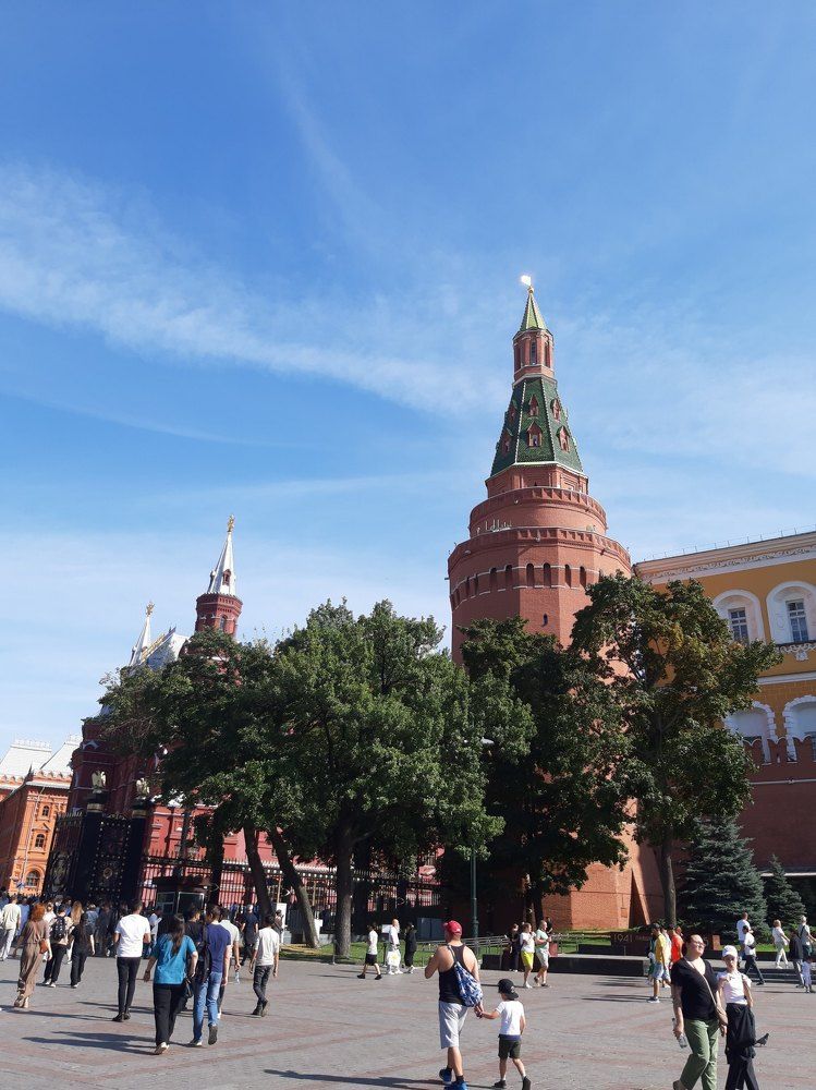Пальмы у Красной площади