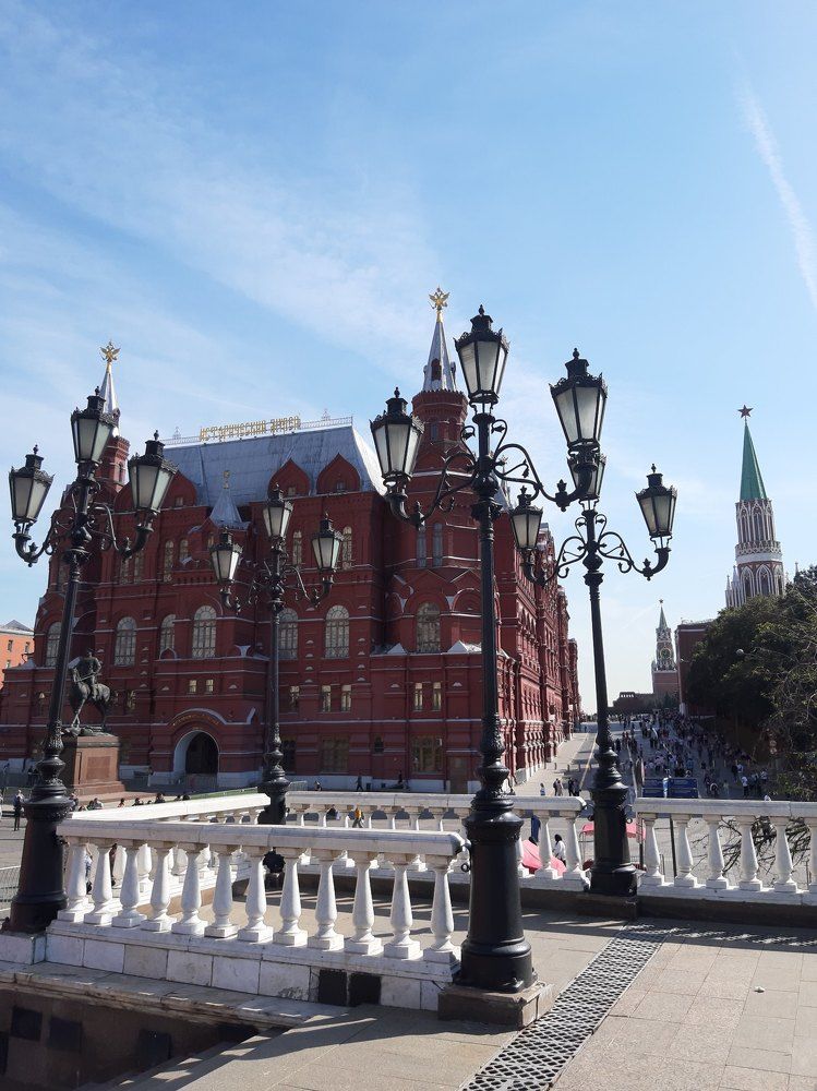 Пальмы у Красной площади