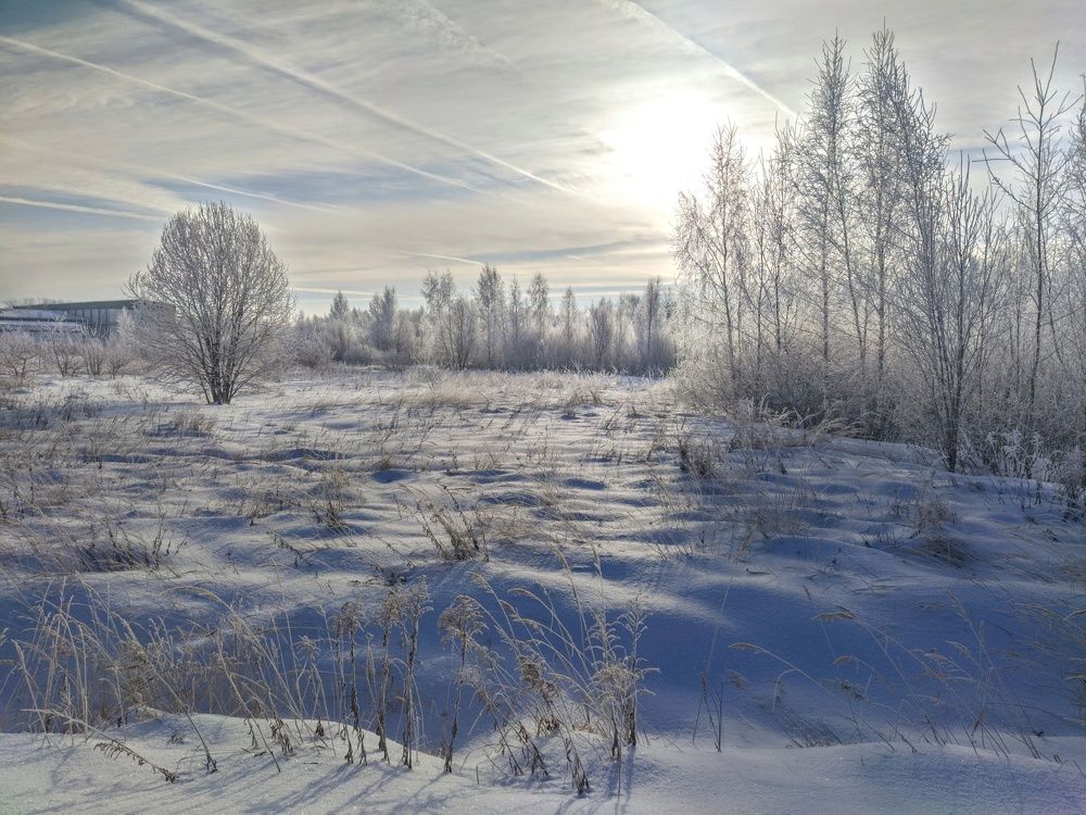 Photo 2694691